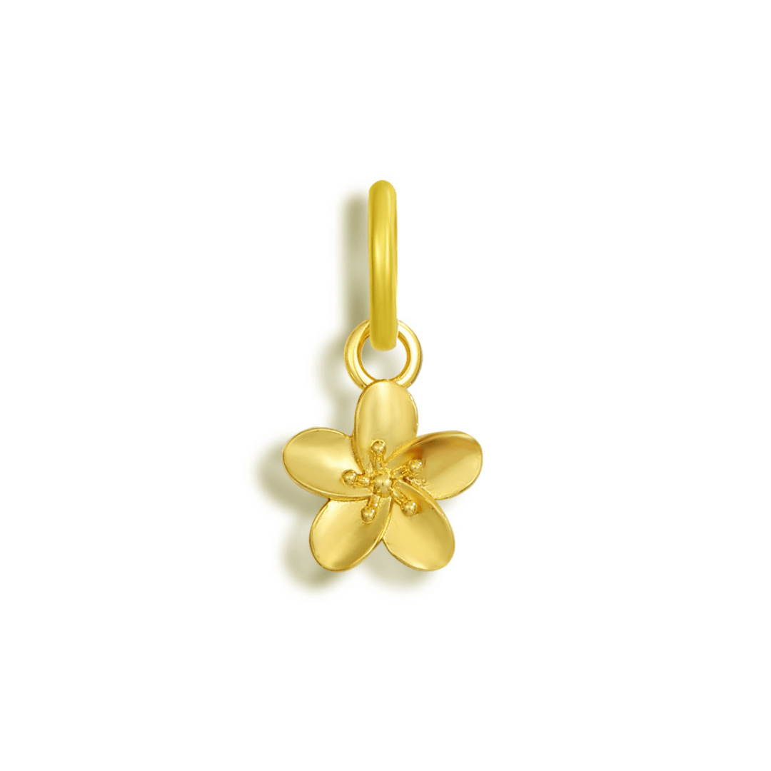 Bikini Charms